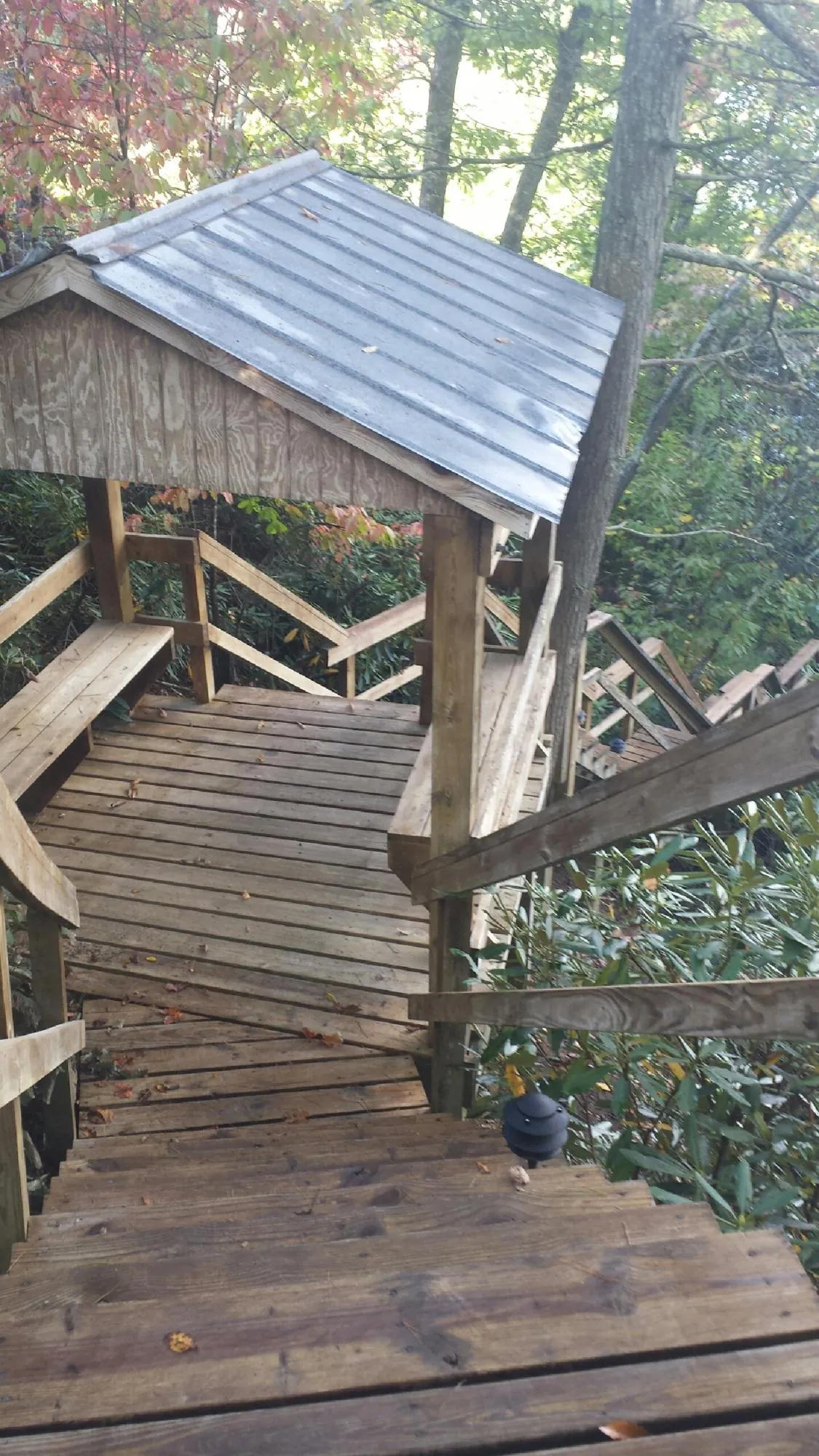 Metal roofed shelter over wooden steps on a wooded walkway — Skylight Repair & Installation work by our crew in Dairy
