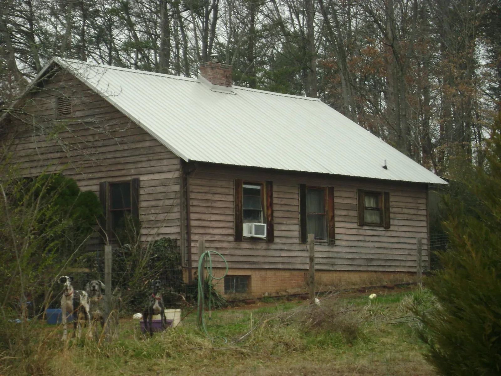 White metal roof on an old wood sided farmhouse, from a Metal Roof Installation job in Dairy